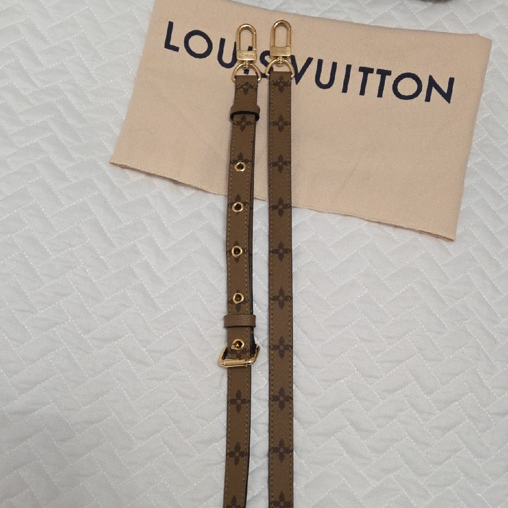 Authentic Louis Vuitton Reverse Monogram Crossbody Bag - Picture 13 of 16